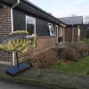Træfisken siger godt nytår:-) Træfisken er med til nytår 2016. Gæt et sted?? et sted den aldrig har været;-)